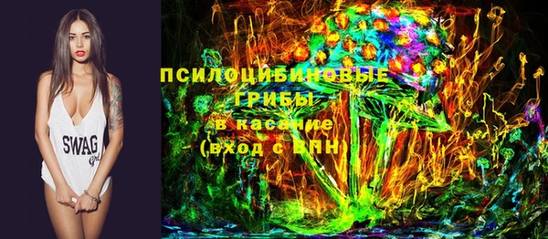 эйфоретик Алзамай